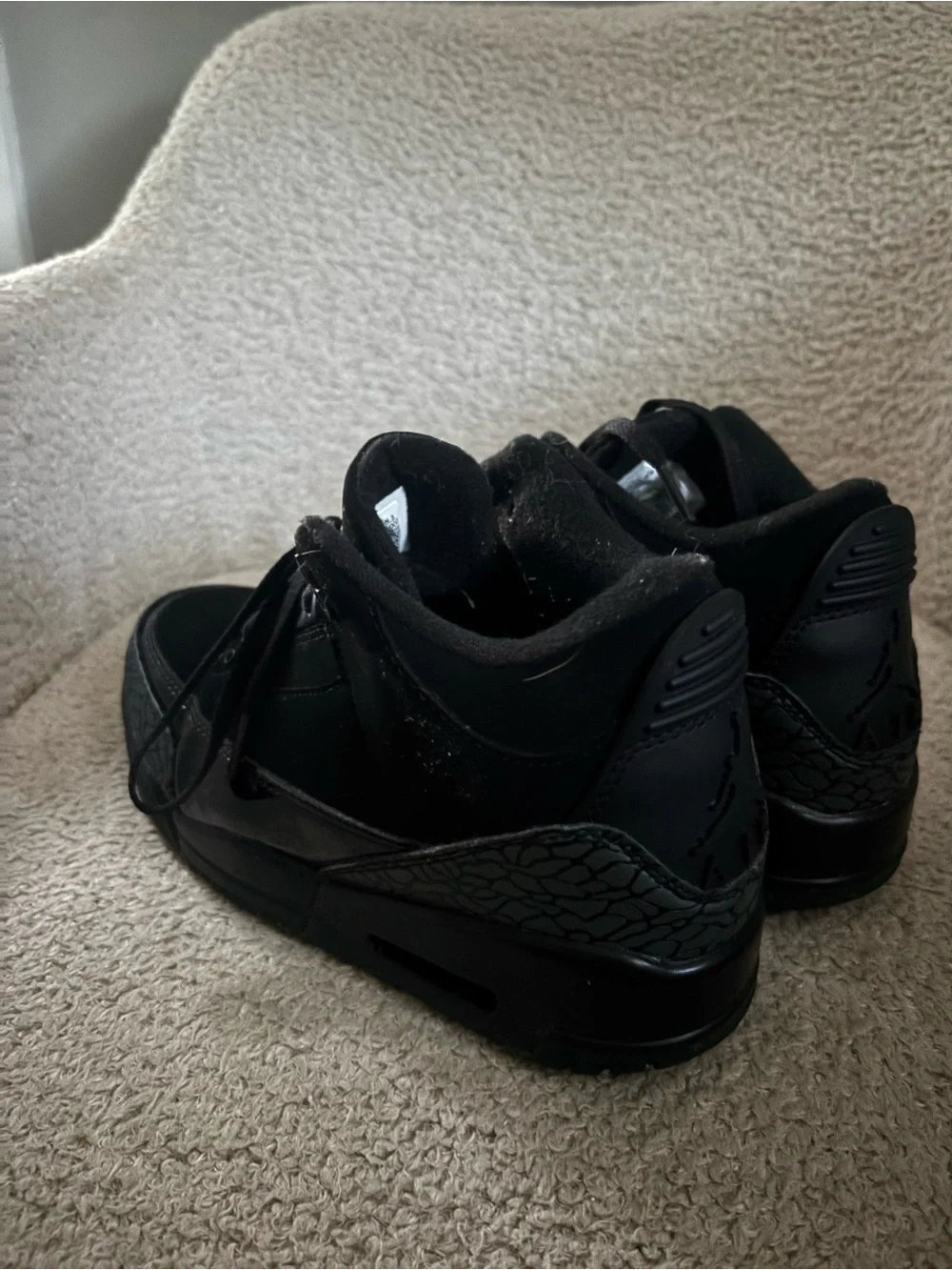 Jordan Men's All-Black Low Top Sneakers